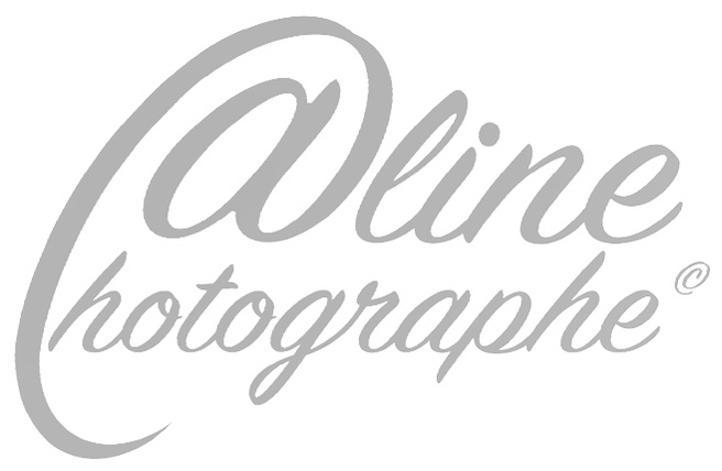 Aline Photographe