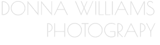 DONNA WILLIAMS PHOTOGRAPHY