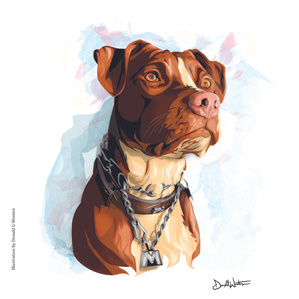 Vector, Illustration, Music, producer, Pitbull, Illustrator