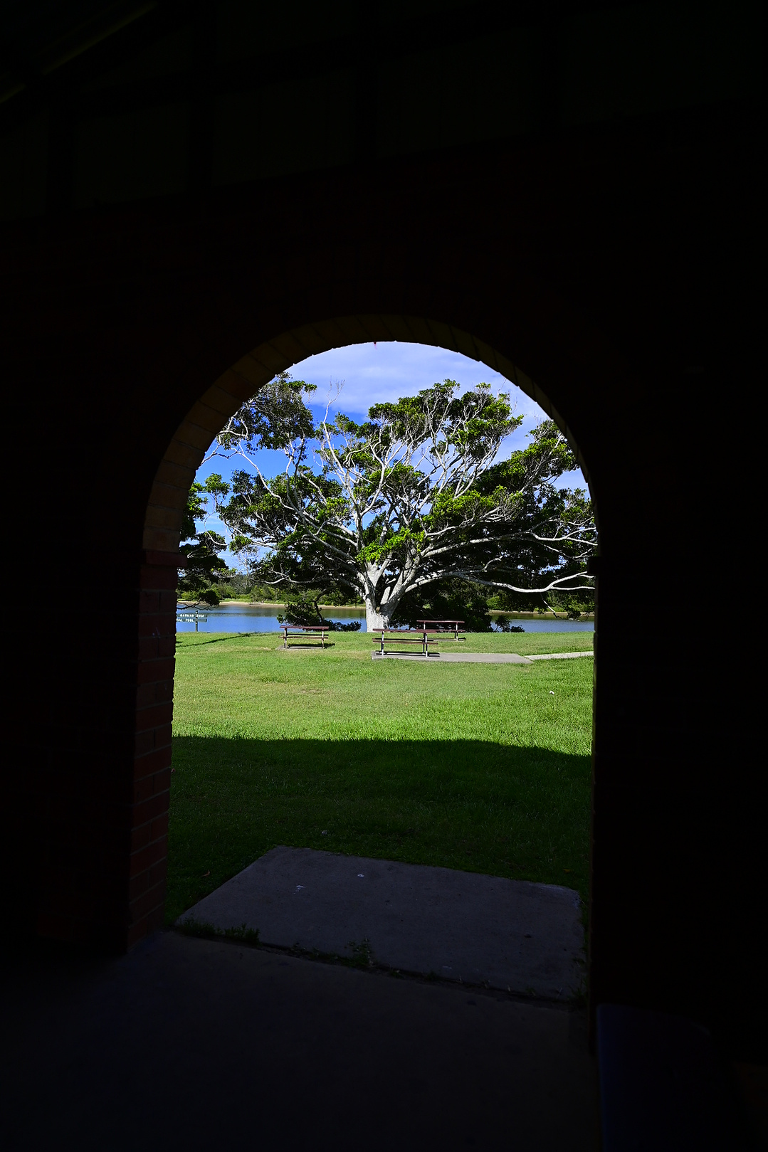 Grand Tree
