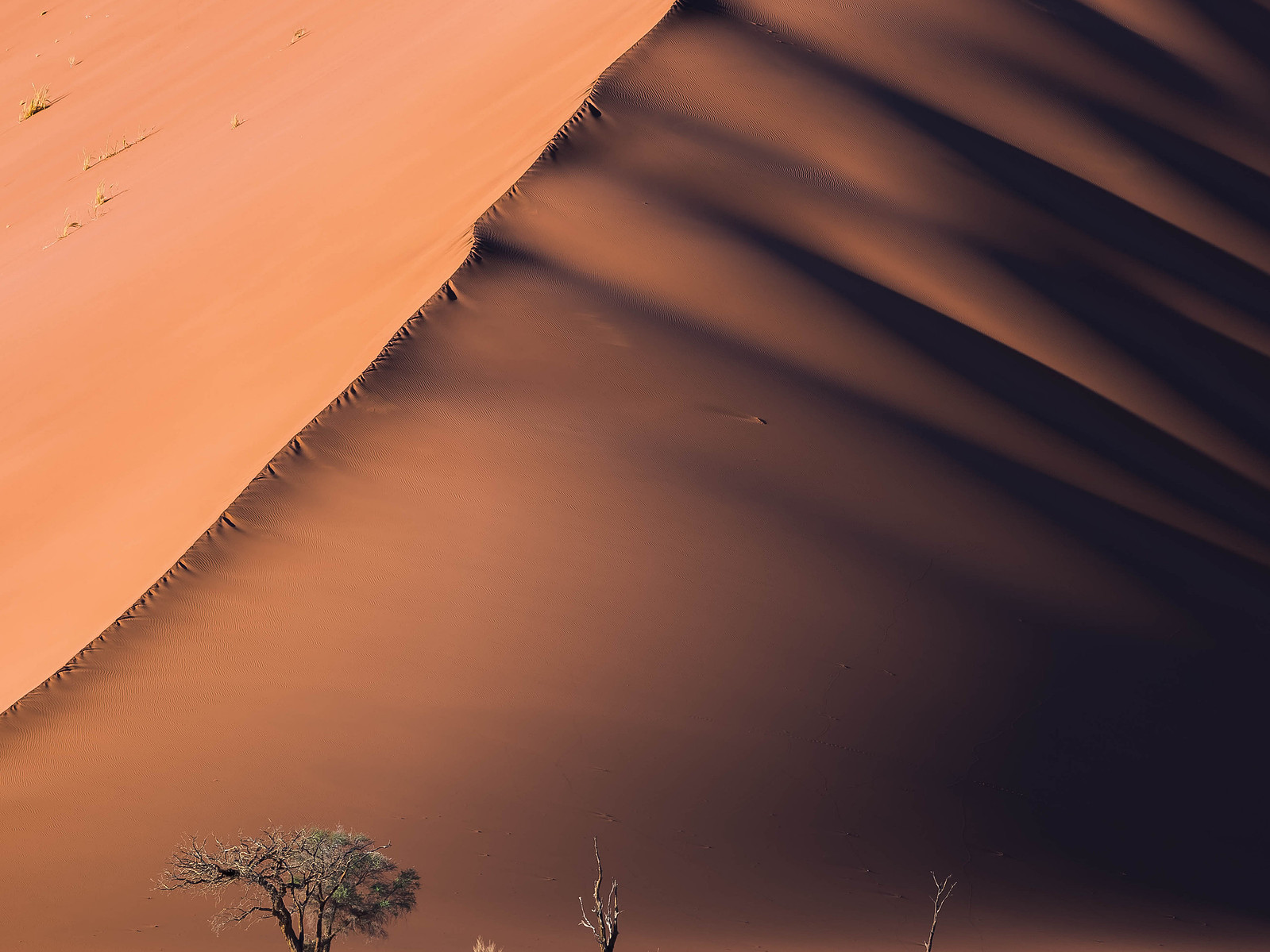 Namibia->Botswana - Victor And Anya Vassiliev's Portfolio