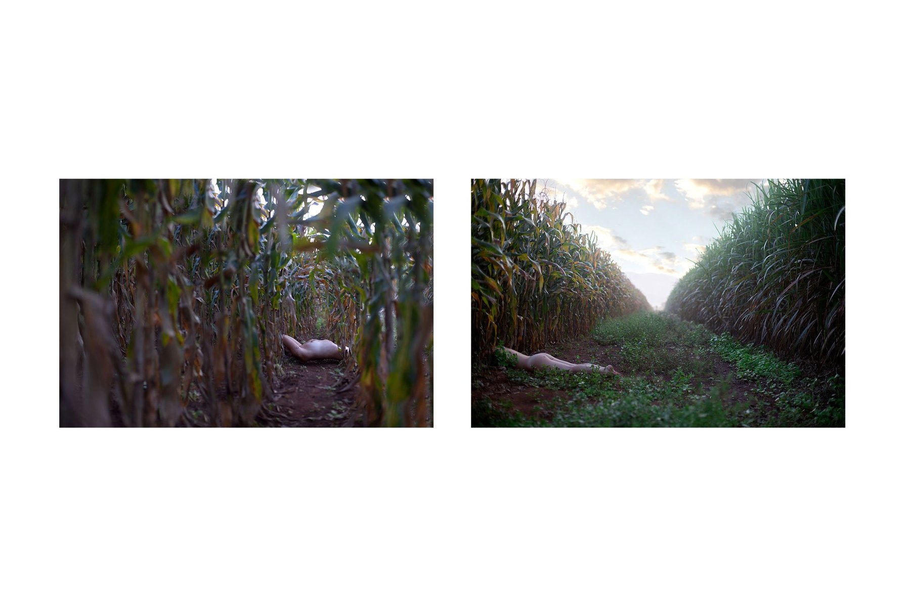Human Nature, on going series
digital
