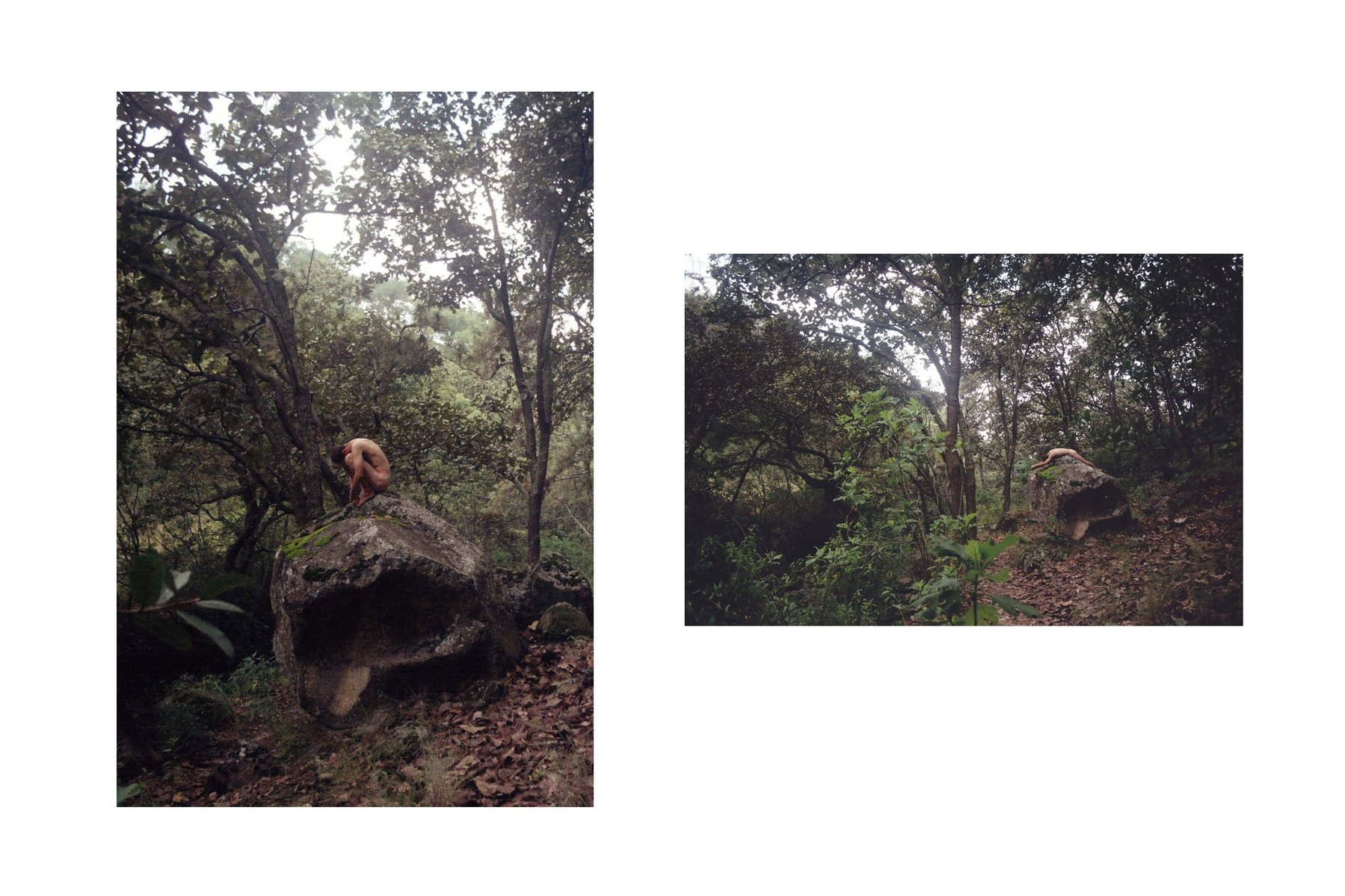 Human Nature, on going project
analog photography, 35 mm, no edit
2015