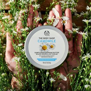 The Bodyshop Camomile cleansing butter being held in hands amongst camomile flowers. Photographed and styled by Tom Hargreaves in Exeter