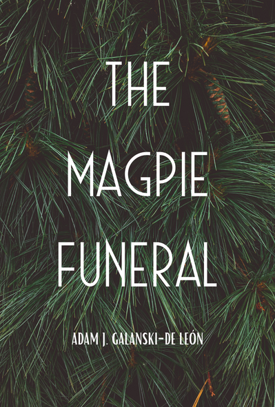 The Magpie Funeral a novella by Adam J Galanski De León about Zakopane, Poland and a man from Pittsburgh who visits his grandfather.