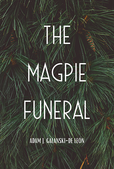 The Magpie Funeral a novella by Adam J Galanski De León about Zakopane, Poland and a man from Pittsburgh who visits his grandfather.