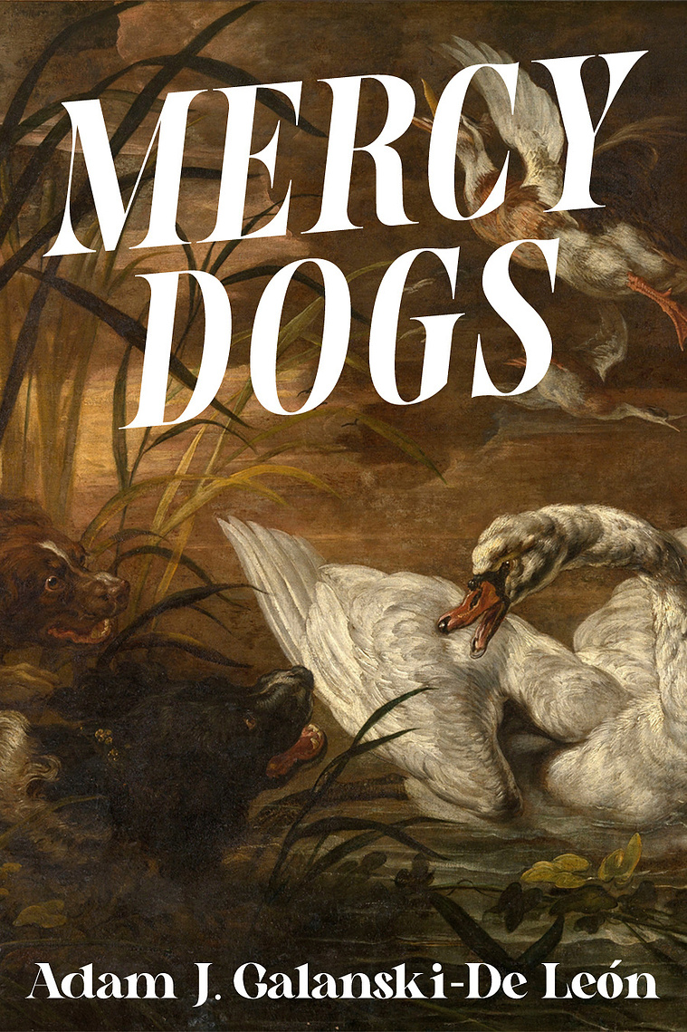 Cover of the novel, Mercy Dogs by Adam J Galanski-De Leon, published by Alternative Book Press