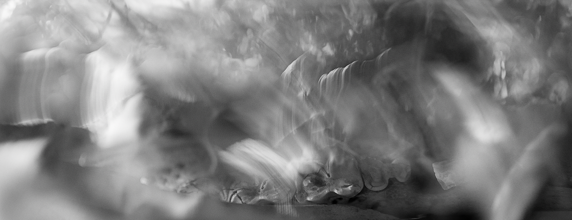 turning into dust ; how to disappear completely 

from THOSE THREE WORDS
