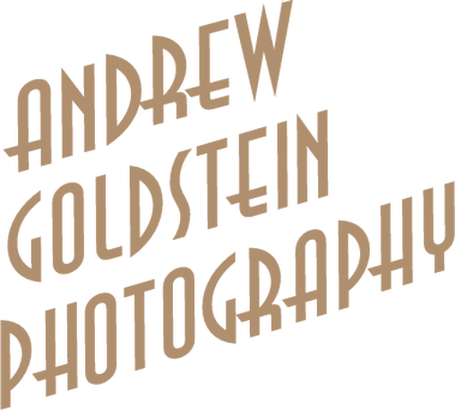 Andrew Goldstein Photography