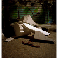 Anne-Lise Seusse 2025
photography
les enfants du palais sous la mer
art
