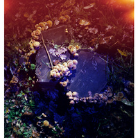 Anne-Lise Seusse 2025
photography
les enfants du palais sous la mer
art
