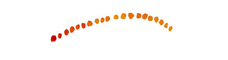 Alt Text: A series of face-centered photos of Sun Literary's admin and core team appears alongside their bios on a bright white background. The logo repeats on the bottom of the page in a series of ochre-painted circles in the color and shape of the sun.