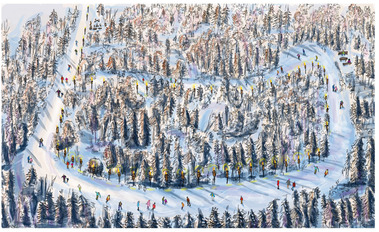 Arrowhead National Park Skating Rink Illustration for Toronto Star
This illustration for the Toronto Star showcases the famous skating rink winding through the forest in Arrowhead National Park, capturing the natural beauty and winter charm of this iconi