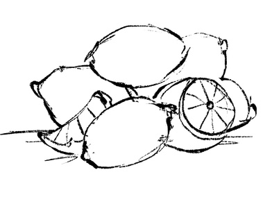 Black and White Sketch of Fresh Lemons – Ideal for Illustrating Citrus Themes on Websites and Promotional Materials.
