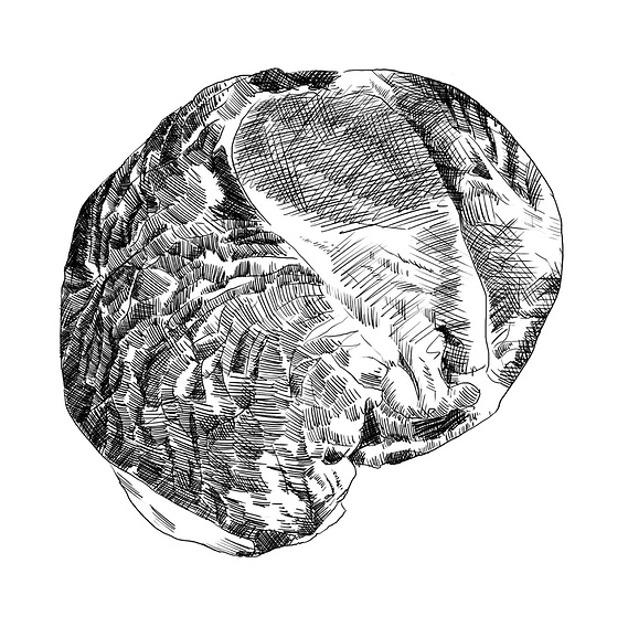 Black and White Illustration of a Meat Cut Featuring a Cross-Hatching Style – Designed for Corporate Illustrations and Visual Branding.