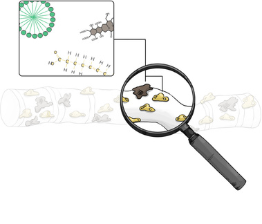 Scientific Illustration Depicting Interaction Between Dirt and WIN Detergent on Synthetic Fiber – Detailed Analysis for Textile Cleaning Studies.