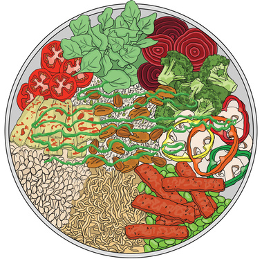Full-color Buddha bowl illustration featuring grains, vegetables, and beans. This vibrant and nutritious depiction emphasizes healthy eating and balanced meals.