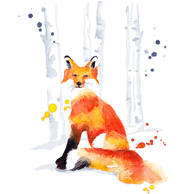 Watercolor illustration of a fox nestled in a birch bark forest, designed as an album cover for a folk band, evoking a serene and natural atmosphere.