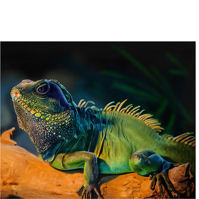 Scientific education illustration of a hyperrealistic lizard, showcasing intricate details and textures, designed to provide accurate and educational insight into its anatomy and features.