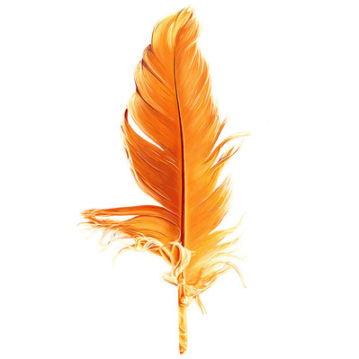 Highly detailed realistic feather illustration in vibrant orange, designed for logo use. This striking artwork is ideal for branding and advertising, showcasing unique textures and visual appeal to attract attention.