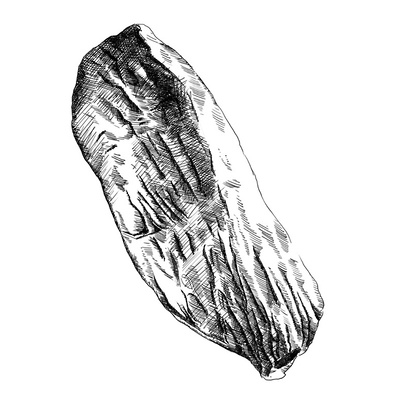 Detailed black and white ink illustrations of pork tenderloin cuts, featuring fine cross-hatching, perfect for menu items and promotional materials in the restaurant industry.