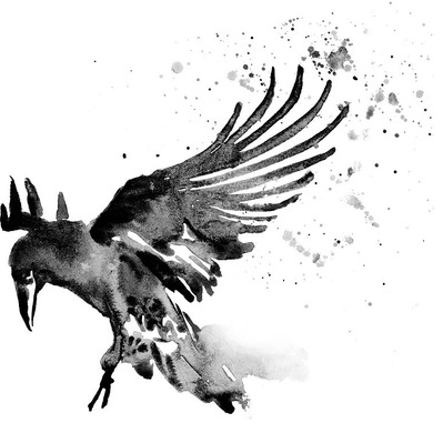 Watercolor illustration of a black raven descending for a landing, designed as an album cover. This artwork evokes mystery and depth, perfectly complementing the themes of the music within.