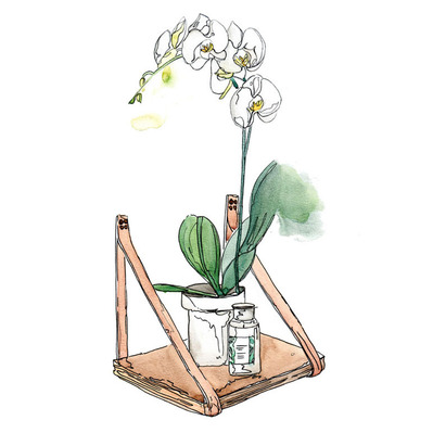 Charming mixed media watercolor and ink illustration featuring orchids atop a wooden interior design structure, ideal for promotional product purposes, highlighting elegance and creativity in home decor.