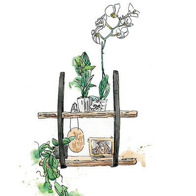 Watercolor product illustration featuring an orchid atop an interior design shelf, surrounded by decorative items. This artwork serves promotional advertising purposes, showcasing elegance and style in home decor.