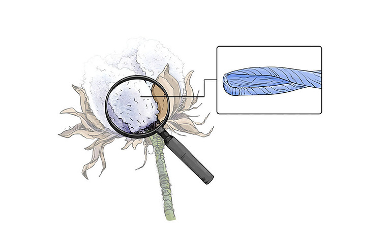 Advertising and marketing illustration services specializing in scientific illustrations that simplify complex processes, engage your audience, and enhance understanding through clear, visually compelling artwork.