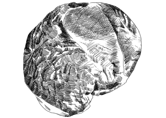 A detailed black and white illustration of an eye round meat cut, perfect for a butcher's menu. Cross-hatching and pen-and-ink techniques create a visually appealing design, ideal for publishing and product promotion.