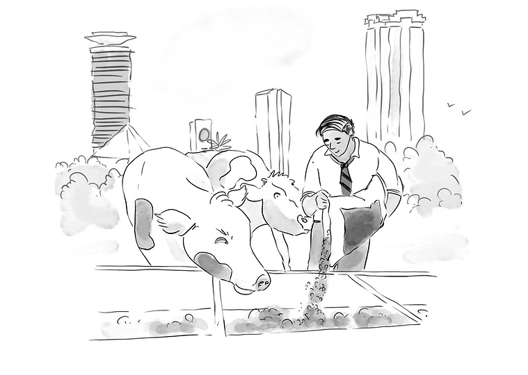 A black and white illustration of a man feeding cows on city limits, perfect for book chapter illustrations. This grayscale image captures a unique urban-rural contrast, ideal for editorial and media purposes.