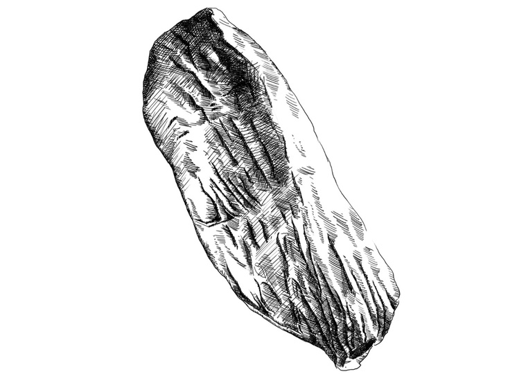 A detailed cross-hatching illustration of a meat cut, perfect for a butcher's menu. This visually appealing artwork effectively showcases the product, making it ideal for publishing and editorial use.