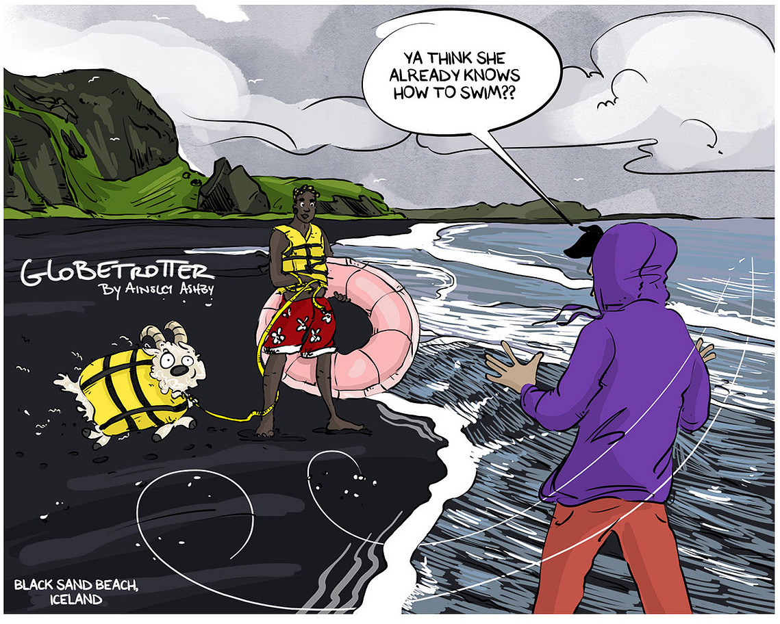 Globetrotter Sunday comic #687: Chloe, Ferrari, and their sheep explore a black sand beach in Iceland, debating the sheep's swimming abilities. A humorous and relatable scene in Ainsley Ashby's series.
