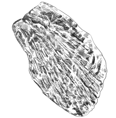 This detailed black and white illustration depicts a flank steak meat cut, ideal for showcasing on a menu or butcher shop display.  The image utilizes cross-hatching techniques to create depth and texture, highlighting the long, lean muscle fibers within 