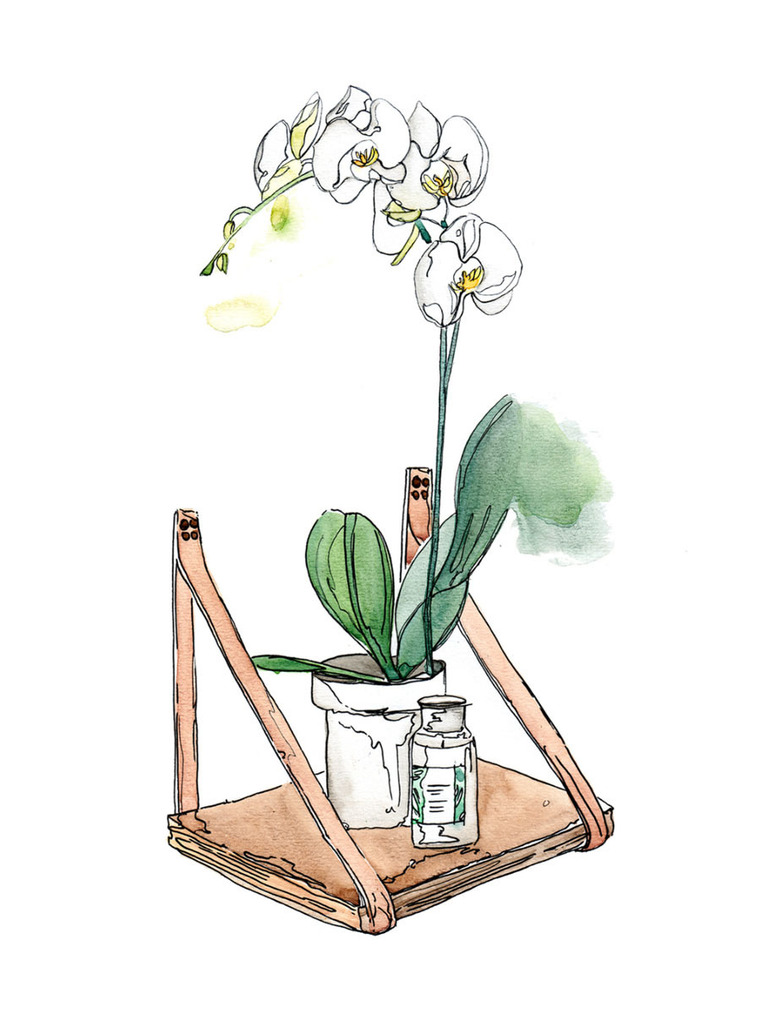 A traditional watercolor and ink product illustration for H&G Designs, showcasing their unique design elements. This handcrafted piece is perfect for editorial use, promoting the brand's artistic approach and high-quality products.