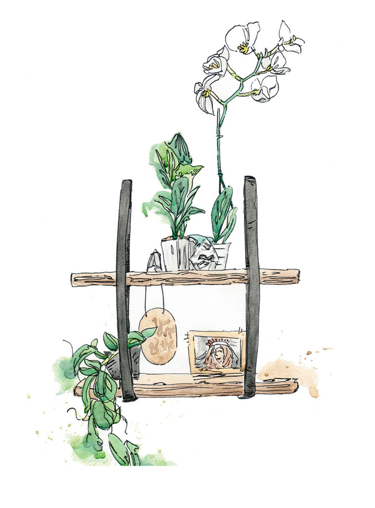 A vibrant watercolor and ink illustration of orchids, bookshelves, and plants, showcasing the harmony between organic and inorganic elements. Perfect for product illustration and editorial use, capturing the beauty of nature and design.