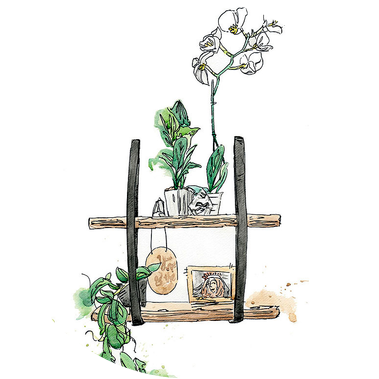 Mixed media illustration combining watercolor and ink, featuring an orchid on a wooden shelf with leather straps and a picture frame. This artwork is created for promotional product illustrations, highlighting stylish interior design elements.