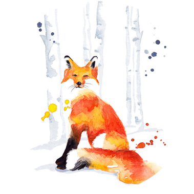 Watercolor illustration of an orange fox sitting in a birch bark forest, created for an album cover for a folk artist band. This artwork is featured in the Entertainment, Media, and Comics case studies page.