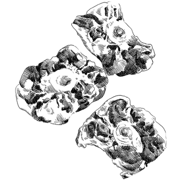 Black and white traditional cross-hatching illustration of various cuts of meat, designed for a butcher's menu, showcasing detailed craftsmanship for entertainment media and comics case studies.