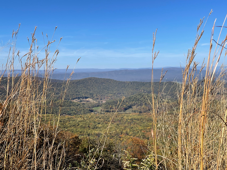 Scenery from an overlook on Skyline Drive