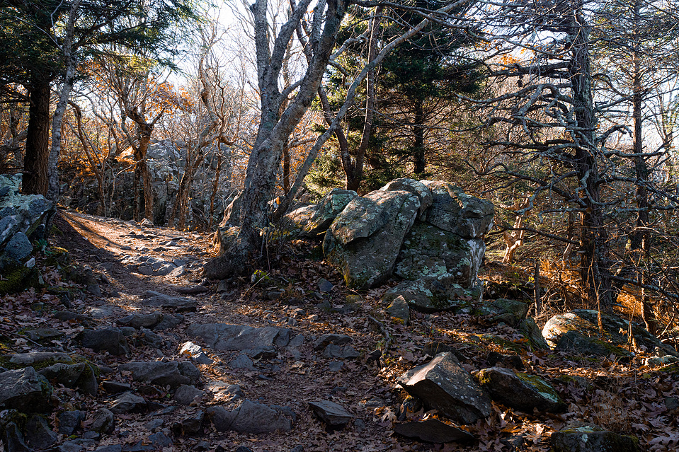Rocks on the Stony Man trail