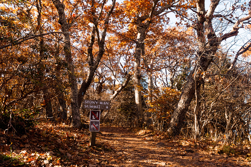 Path leading to the summit and overlook of Stony Man Mountain