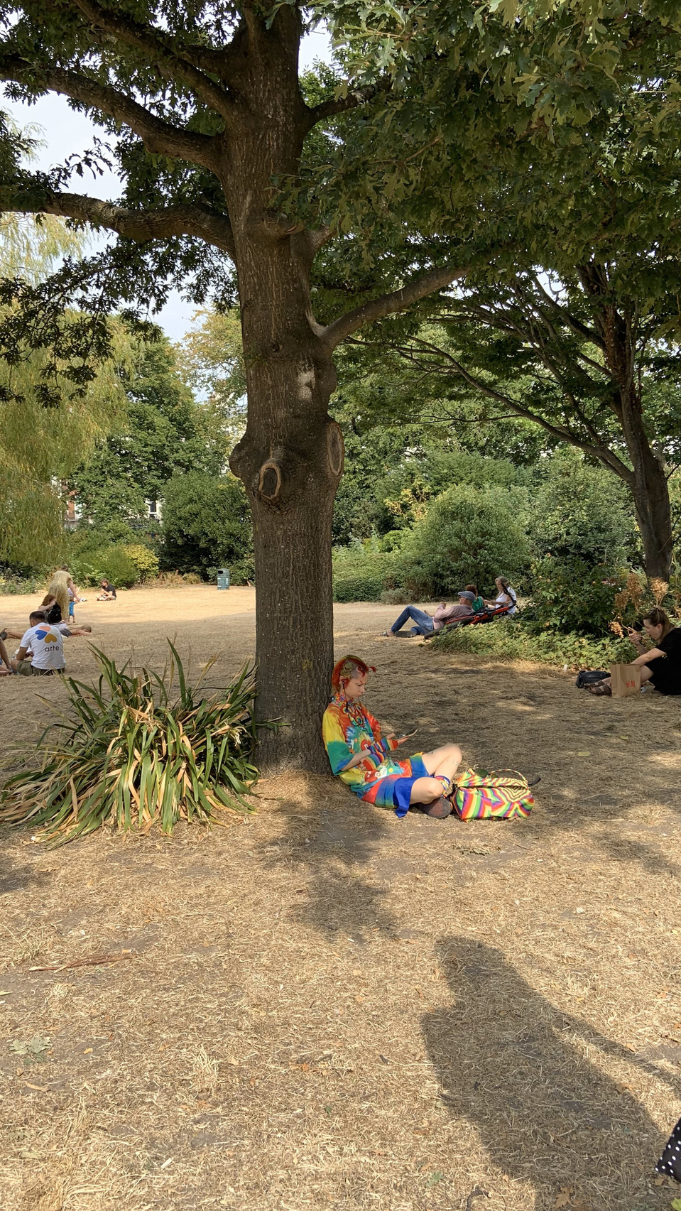 A glorious summery day in Brighton