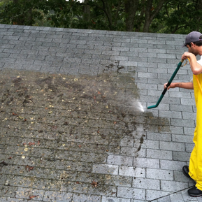 cleaning a customer's roof