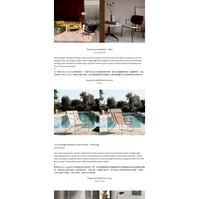 product description about lounge chair