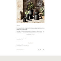 product description and introduction about home accessories, vase, decoration, gardening