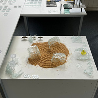 Explorative Praxis preparation | 11.05.2023 | doryeek | Swansea College of Art | UWTSD Alex Design | University of Trinity Saint David