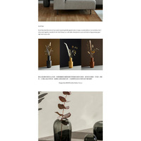 product description and introduction about home accessories, vase, decoration, gardening