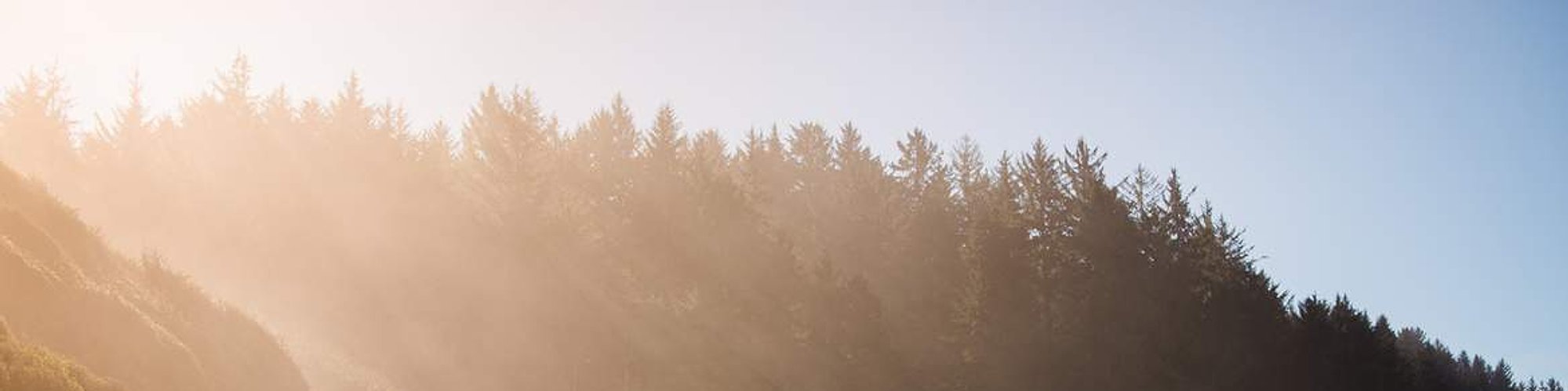 Forest-covered hills glowing in the morning sunshine