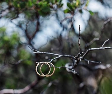 A pair of wedding rings dangle from a twig on a small tree